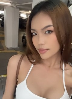 Helena - Transsexual escort in Bangkok Photo 9 of 11