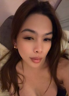 Lena Marie - Acompañantes transexual in Phuket Photo 1 of 7