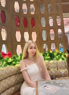 Aussie girl VVIP 🇦🇺 - escort in Seoul Photo 4 of 14