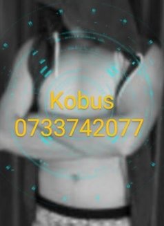 Leo - Male escort in Durban Photo 13 of 13