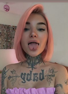 Lera - escort in Phuket Photo 3 of 10