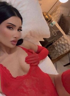 Lera ❣️ wild panther - escort in Dubai Photo 3 of 3