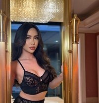 let me fill your mouth with my cum - Transsexual escort in Dubai