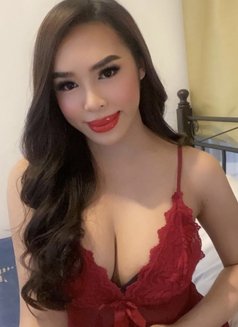 Let me teach you and handle you - Transsexual escort in Manila Photo 25 of 25