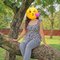 🥂Lets (Cam Show 🥀 Sex Chat) Meet Up🥂 - puta in Mumbai Photo 2 of 5