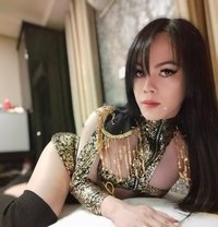 Lets FUCK SUCK & CUM TOGETHER w/POPPERS - Transsexual escort in Chandigarh