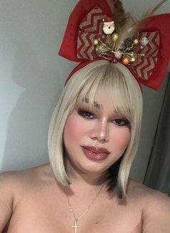 Lets Gangbang Party/Ass/CockPlayCamShow - Transsexual escort in Bangkok Photo 18 of 21