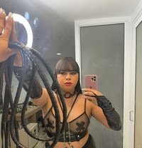 Lets Gangbang Party Bdsm POPPERS 🧊 - Acompañantes transexual in Bangkok