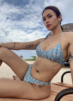 Lets collide our Hot Naked Bodies.. - Transsexual escort in Hong Kong Photo 27 of 27