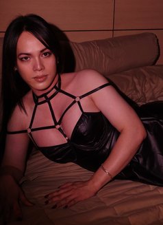 LETS PARTY & SEX ALL NIGHT w/POPPERS - Transsexual escort in Bangkok Photo 21 of 26
