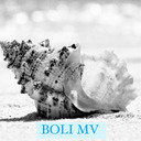BOLI_MV's avatar