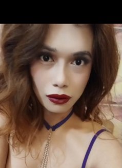 Lexalex - Acompañantes transexual in New Delhi Photo 5 of 8