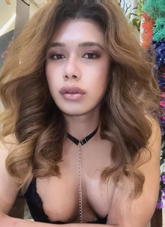 Lexalex - Acompañantes transexual in New Delhi Photo 14 of 14