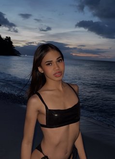 Lexi - Acompañantes transexual in Manila Photo 7 of 14