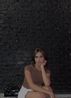 Lexi - Acompañantes transexual in Manila Photo 8 of 14