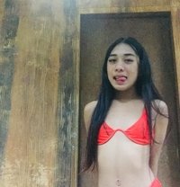 Lexi - Transsexual escort in Manila