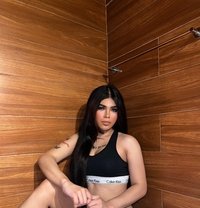 Lexicumm - Transsexual escort in Makati City