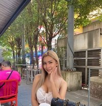 TS lexie - Transsexual escort in Taipei
