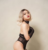 Lexiee - Acompañantes transexual in Manila