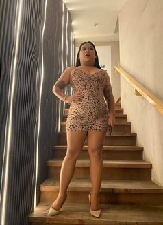 Lexxylove04 - Acompañantes transexual in Bangkok Photo 7 of 12