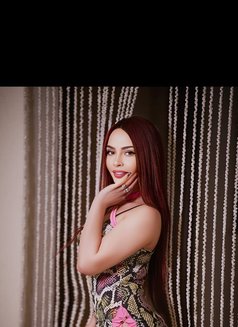 Lia Lia - escort in Erbil Photo 7 of 10