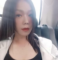 Lia - Transsexual escort in Macao