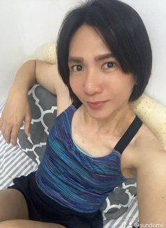 Liam ladyboy 🇵🇭 - Transsexual escort in Al Sohar Photo 6 of 6