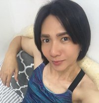 Liam ladyboy 🇵🇭 - Transsexual escort in Al Sohar