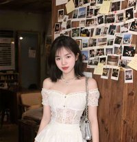 Liam - puta in Hanoi