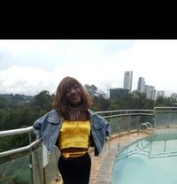 Lia - Transsexual escort in Nairobi