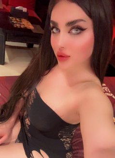 Lian - Transsexual escort in Beirut Photo 12 of 13
