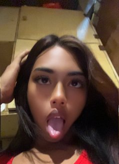 Lickmaisie - Acompañantes transexual in Dubai Photo 7 of 10