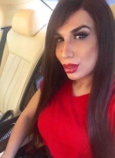 Nikki🇨🇭onlyfans - Transsexual escort in Sofia Photo 14 of 28