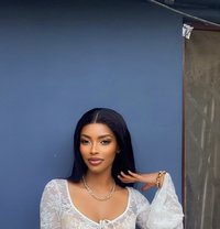 Light - puta in Doha