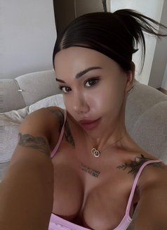 Lika 21CM VİP Shemale - Transsexual escort in İstanbul Photo 30 of 30