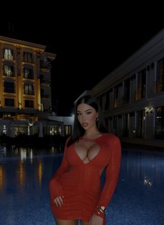 Lika 21CmBarbieshemale - Transsexual escort in İstanbul Photo 30 of 30