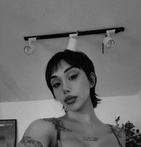 Lika 21CmBarbieshemale - Transsexual escort in İstanbul