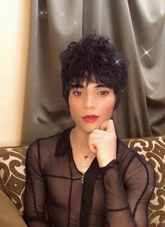 Lil - Transsexual escort in Cairo Photo 1 of 6