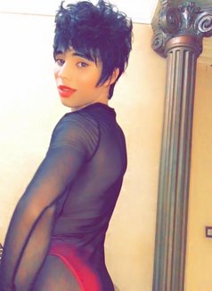 Lil - Transsexual escort in Cairo Photo 3 of 6