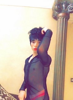 Lil - Transsexual escort in Cairo Photo 4 of 6