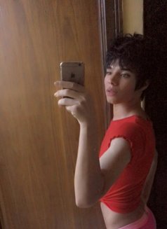 Lil - Transsexual escort in Cairo Photo 6 of 6