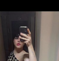 Lil - Transsexual escort agency in Cairo