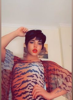 Lil - Transsexual escort agency in Cairo Photo 4 of 6