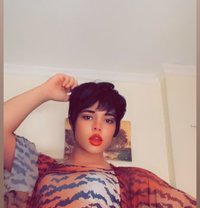 lell - Transsexual escort agency in Cairo