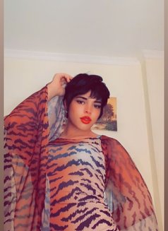 Lil - Transsexual escort agency in Cairo Photo 5 of 6