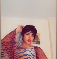 lell - Agencia de acompañantes transexuales in Cairo