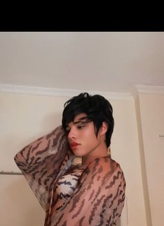 Lil - Transsexual escort agency in Cairo Photo 6 of 6