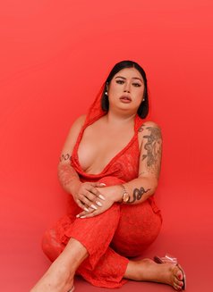 Lil Plushie 🇱🇧🇵🇭 - Transsexual escort in Cebu City Photo 3 of 4