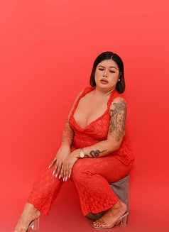 Lil Plushie 🇱🇧🇵🇭 - Transsexual escort in Cebu City Photo 4 of 4