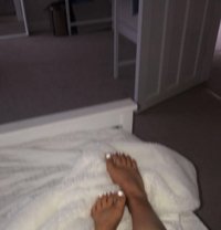 Lili - puta in Alexandria